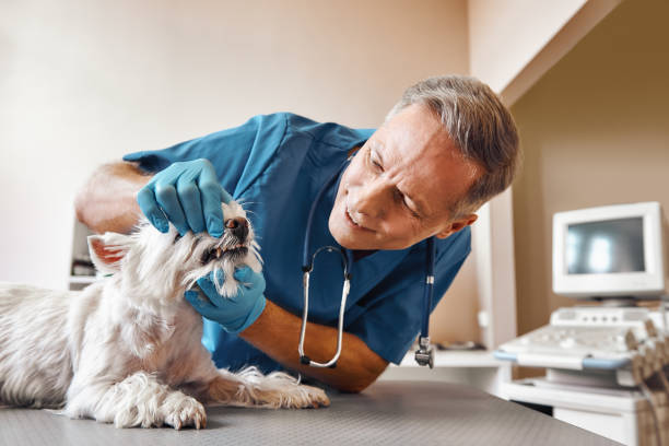 Best Weekend Emergency Dentist in Gladstone, MI